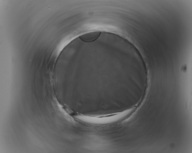 X0000112471529200909071121