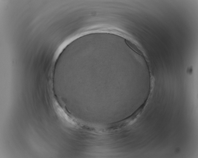 X0000112471530200909071121