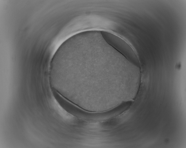 X0000112471532200909071122