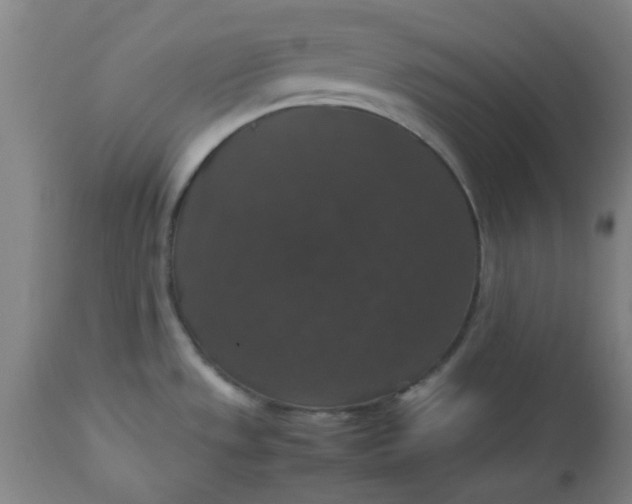 X0000112471533200909071122