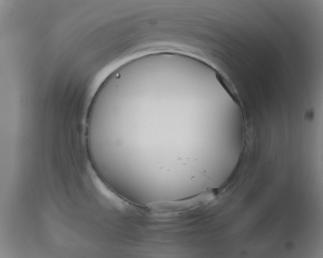 X0000112471535200909071122