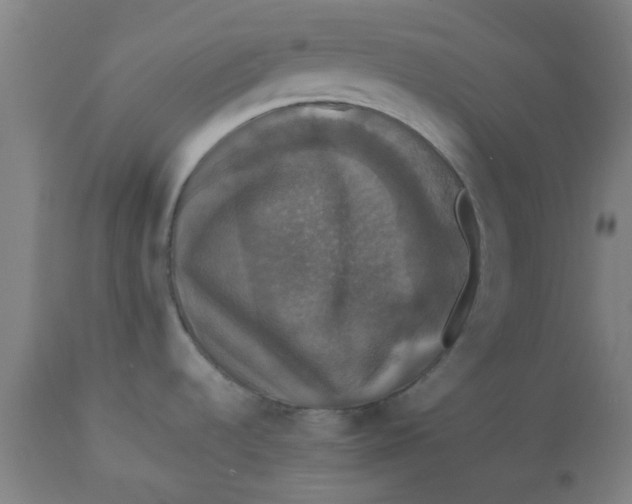 X0000112471536200909071122