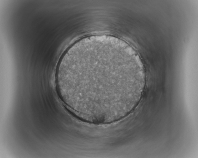 X0000112470002200909141127