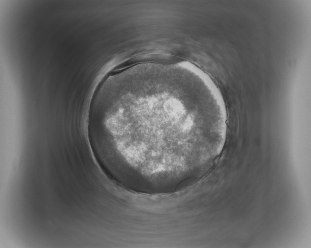 X0000112470003200909141127