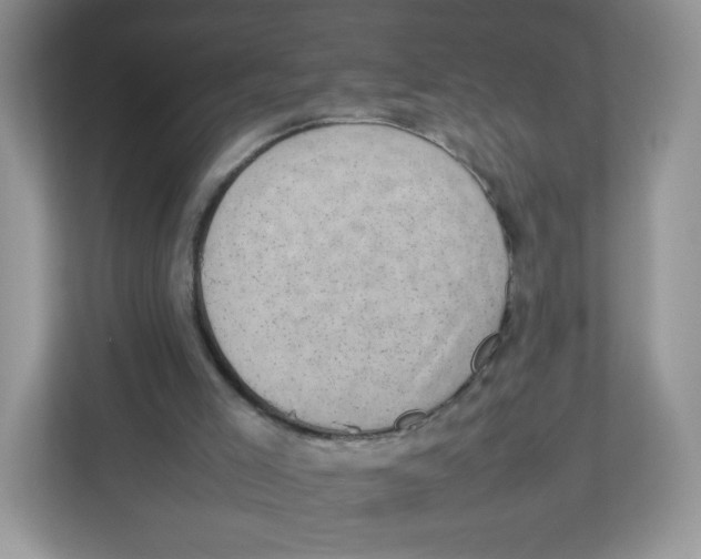 X0000112470005200909141127