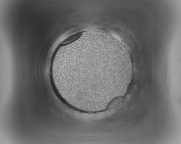 X0000112470007200909141127