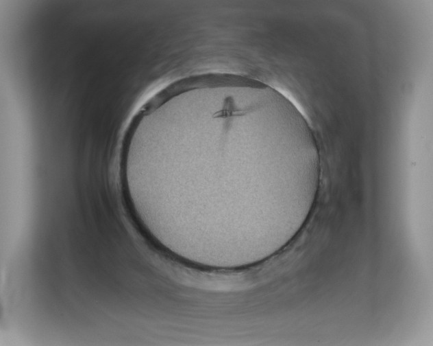 X0000112470008200909141127