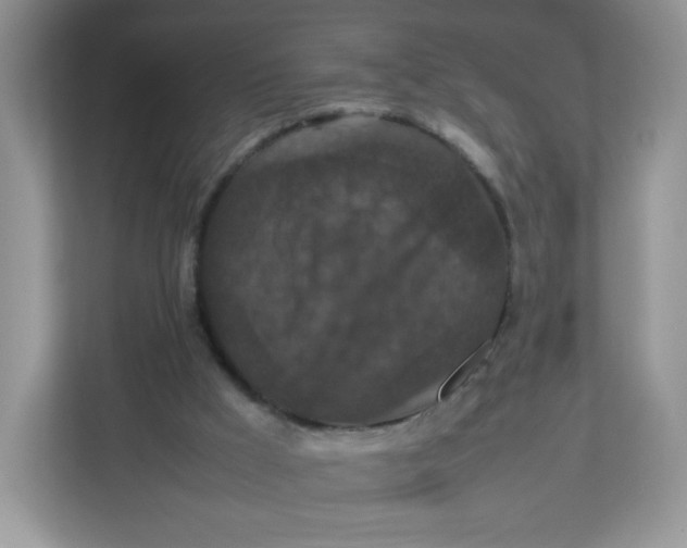 X0000112470009200909141127
