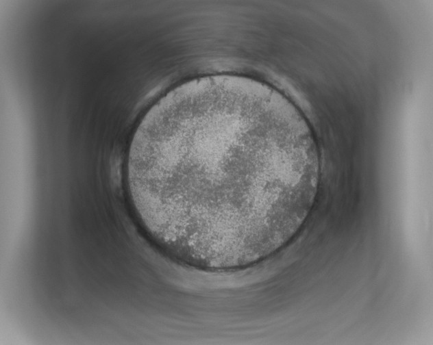 X0000112470010200909141127