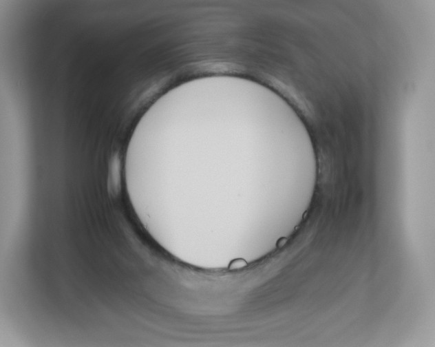 X0000112470014200909141127