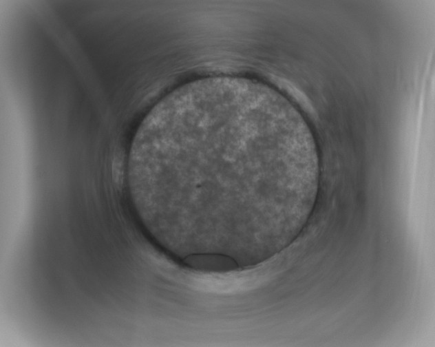 X0000112470017200909141127