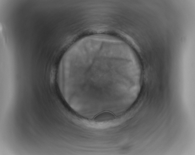 X0000112470018200909141127