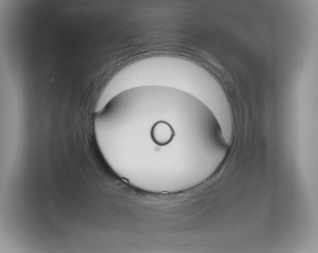 X0000112470029200909141127