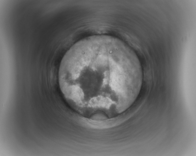 X0000112470030200909141127