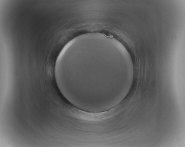 X0000112470035200909141127