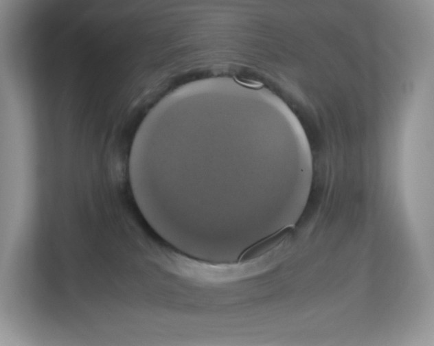X0000112470039200909141127