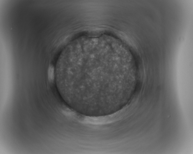 X0000112470041200909141127