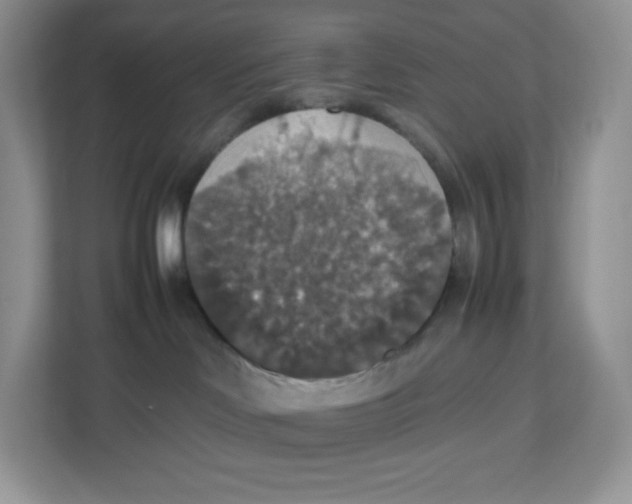 X0000112470046200909141127