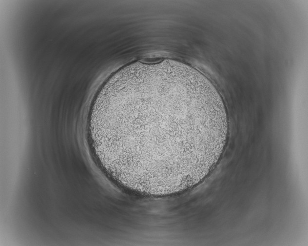 X0000112470049200909141126