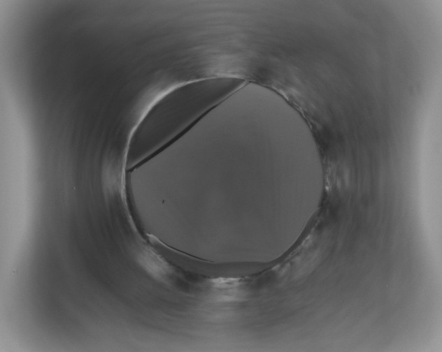 X0000112470052200909141126