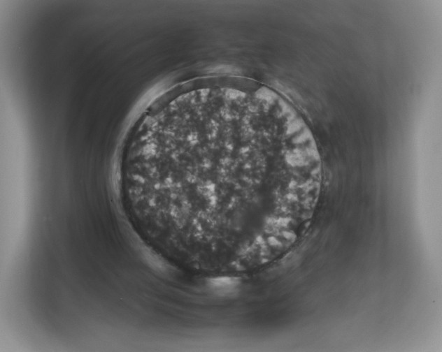 X0000112470053200909141126