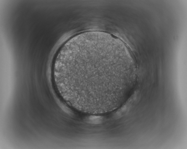 X0000112470055200909141126