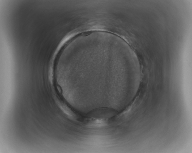 X0000112470056200909141126