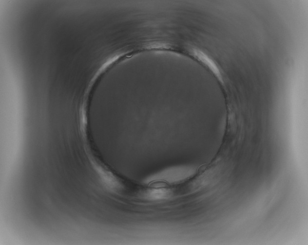 X0000112470059200909141126