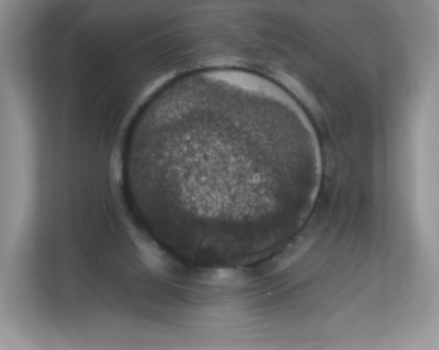 X0000112470060200909141126