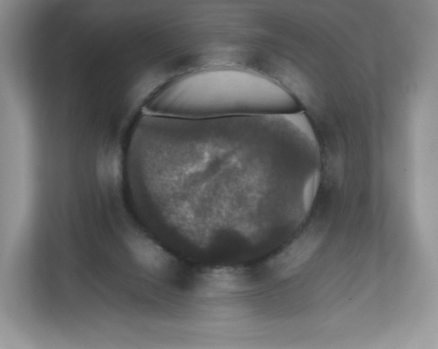 X0000112470064200909141126