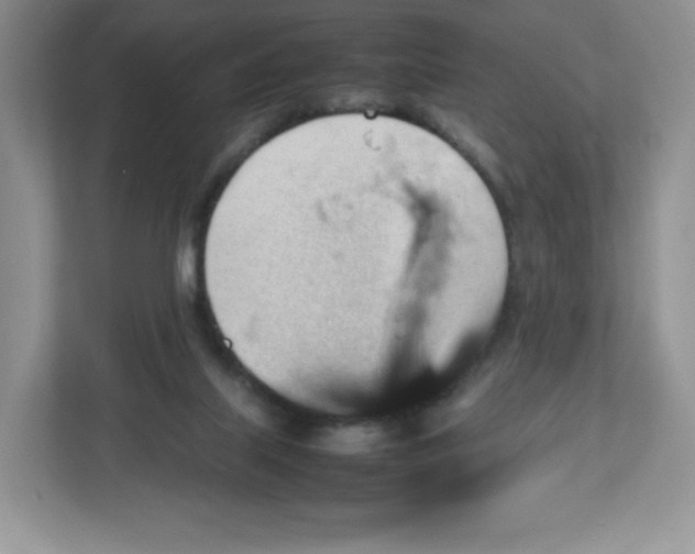 X0000112470067200909141127