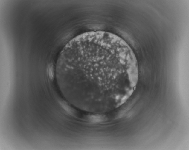 X0000112470069200909141127