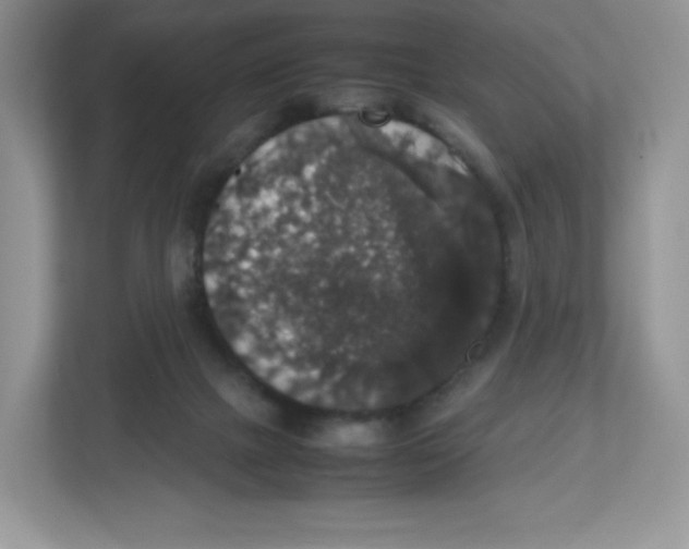 X0000112470073200909141127