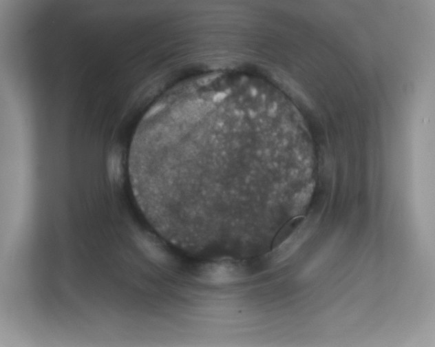 X0000112470074200909141127