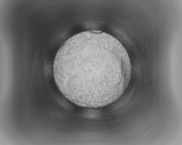 X0000112470081200909141127