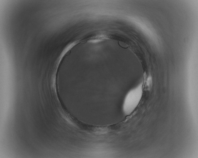 X0000112470099200909141126