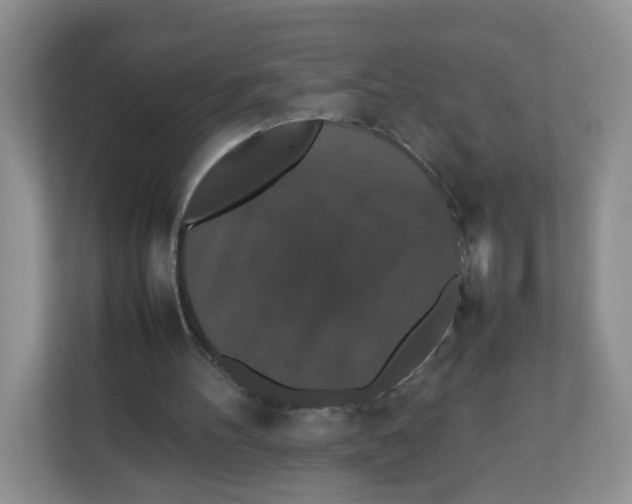 X0000112470100200909141126