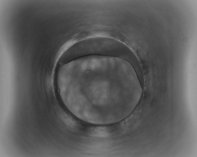 X0000112470104200909141126