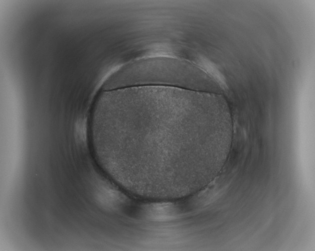 X0000112470108200909141126