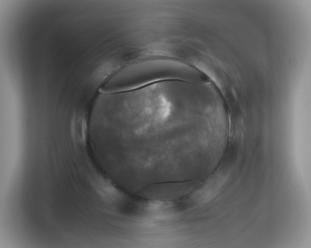 X0000112470109200909141126