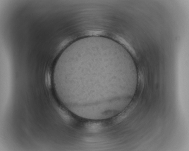 X0000112470110200909141126