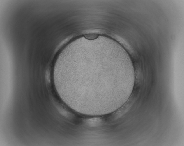 X0000112470112200909141126