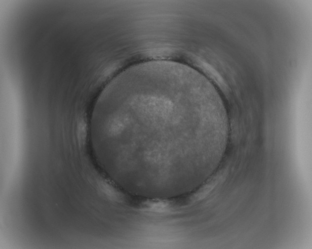 X0000112470113200909141126