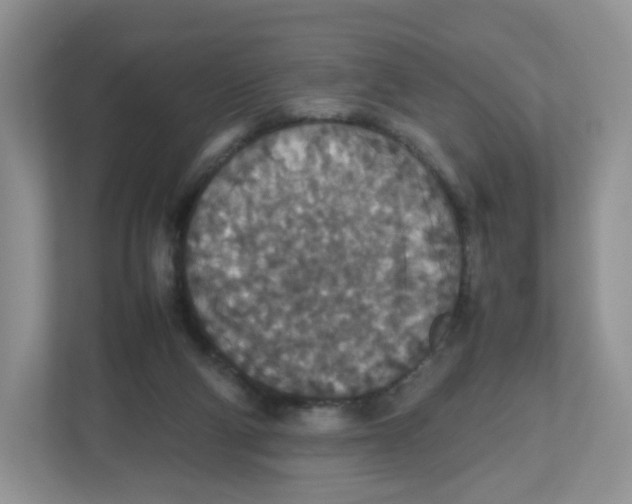 X0000112470114200909141126