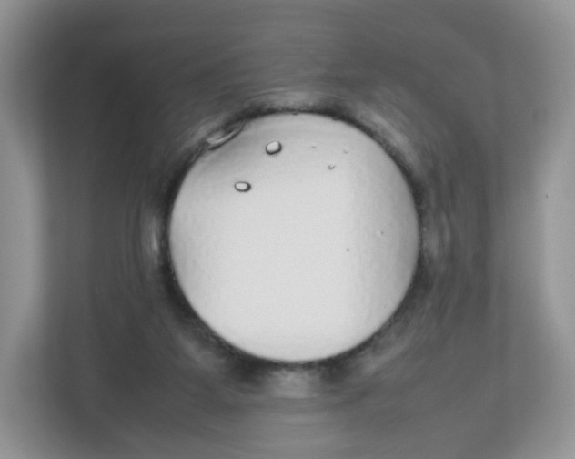 X0000112470115200909141126