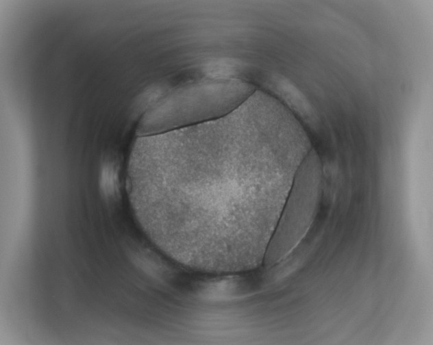 X0000112470116200909141126