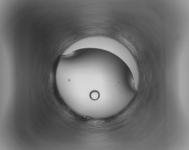 X0000112470117200909141126