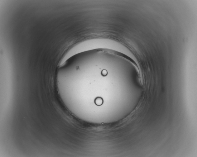 X0000112470120200909141126