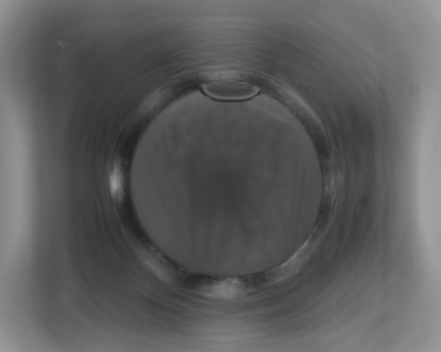 X0000112470124200909141126