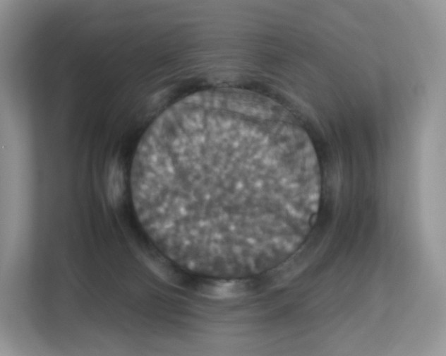 X0000112470130200909141126